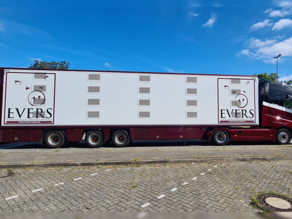 WSI WSI Volvo FH5 Globetrotter XL 4x2 with 3-axle iso therm live stock trailer EVERS