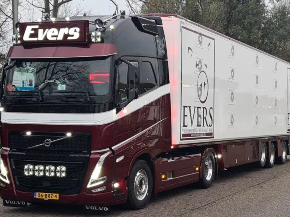 WSI WSI Volvo FH5 Globetrotter XL 4x2 with 3-axle iso therm live stock trailer EVERS
