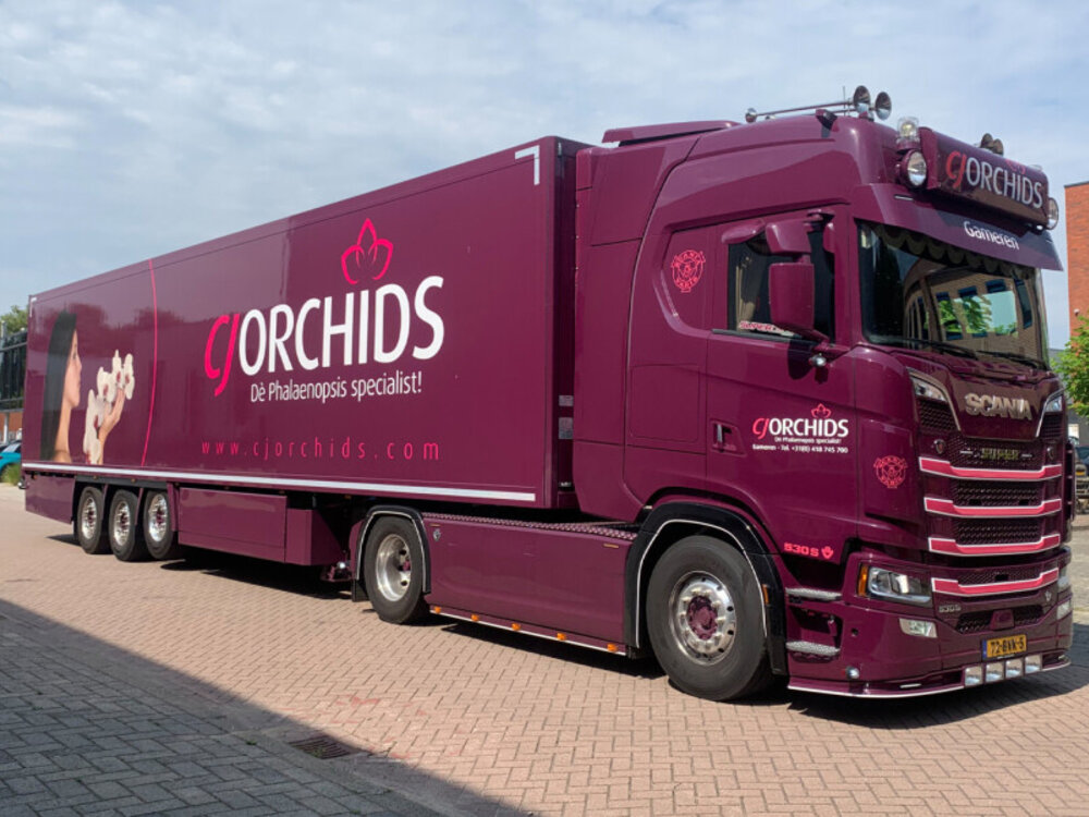 WSI WSI Scania S Highline 4x2 met 3-assige koeloplegger CJ ORCHIDS