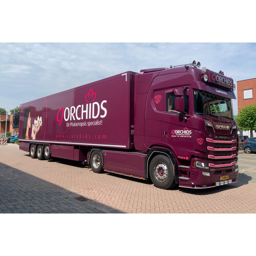 WSI WSI Scania S Highline 4x2 met 3-assige koeloplegger CJ ORCHIDS WSI WSI Scania S Highline 4x2 met 3-assige koeloplegger CJ ORCHIDS