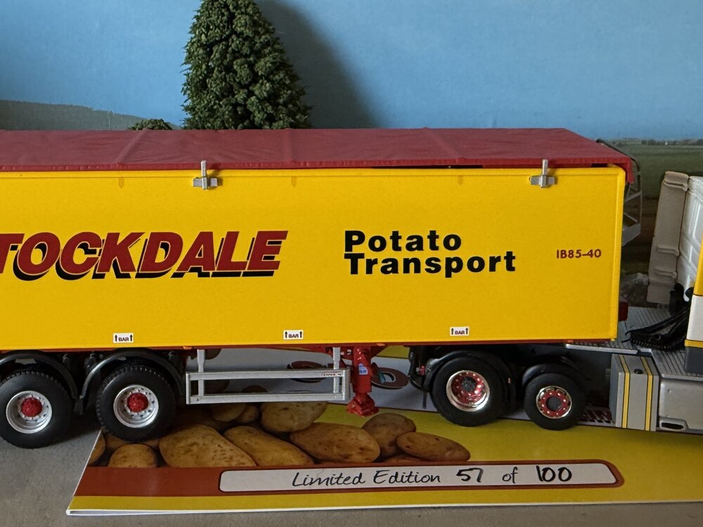WSI WSI DAF 106XF 6x2 with 3-axle Belt Potato trailer JAMES STOCKDALE Yorkshire England
