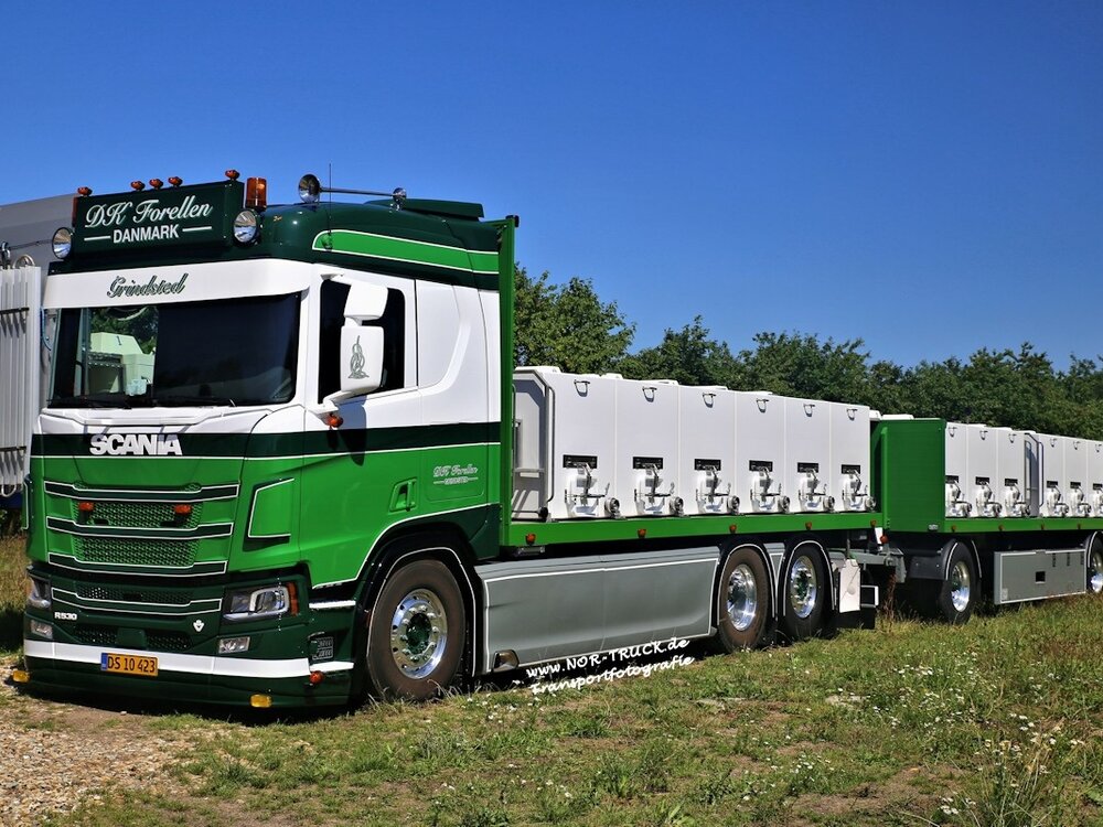 Tekno Tekno Scania Next Gen R530 rigid truck with trailer life fish transporter DK FORELLEN