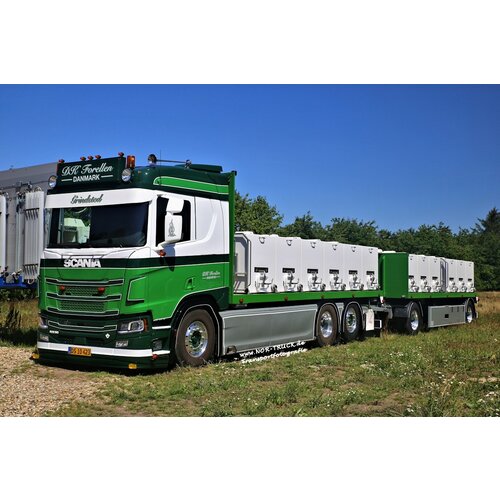 Tekno Tekno Scania Next Gen R530 rigid truck with trailer life fish transporter DK FORELLEN Tekno Tekno Scania Next Gen R530 rigid truck with trailer life fish transporter DK FORELLEN