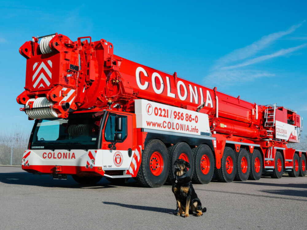 WSI WSI Liebherr LTM 1650-8.1 Mobile crane  COLONIA