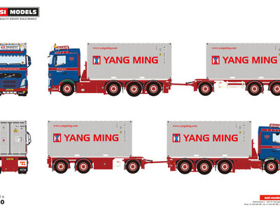 WSI WSI Volvo FH4 Sleeper Cab 8x2 met 7-assige container combi + 2x 20ft container RENE BURGGRAAF TRANSPORT BV