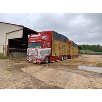 Tekno Scania R-Streamline Rigid truck with 3-axle trailer  incl. load PIERRARD TRANSPORTS