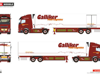 WSI WSI Volvo FH aero Globetrotter electric with 2-axle reefer trailer GALLIKER