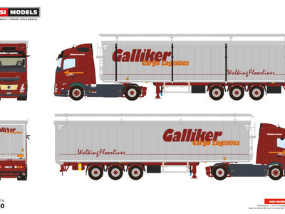 WSI WSI Volvo FH aero Globetrotter electric met 3-as volume oplegger GALLIKER
