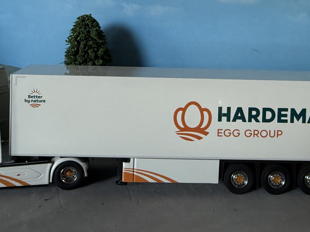 Cavallino Cavallino DAF XG+ 4x2 with 3-axle closed box trailer HARDEMAN EGG GROUP