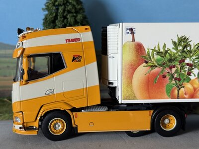 WSI WSI DAF XG+ 4x2 midlift with 3-axle tridec reefer trailer TRANSPORTBEDRRIJF TRAVEO