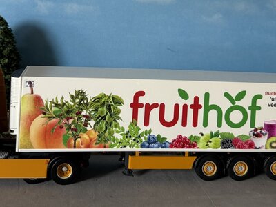 WSI WSI DAF XG+ 4x2 midlift with 3-axle tridec reefer trailer TRANSPORTBEDRRIJF TRAVEO