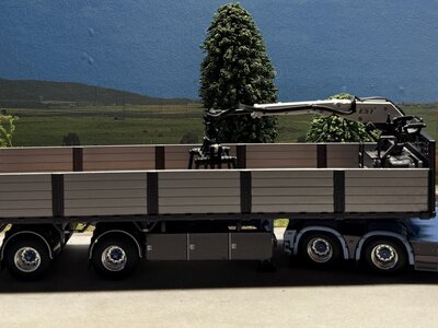 WSI WSI Volvo FH4 Glob. 6x2 met 3-as stenenoplegger EDWIN SALARI