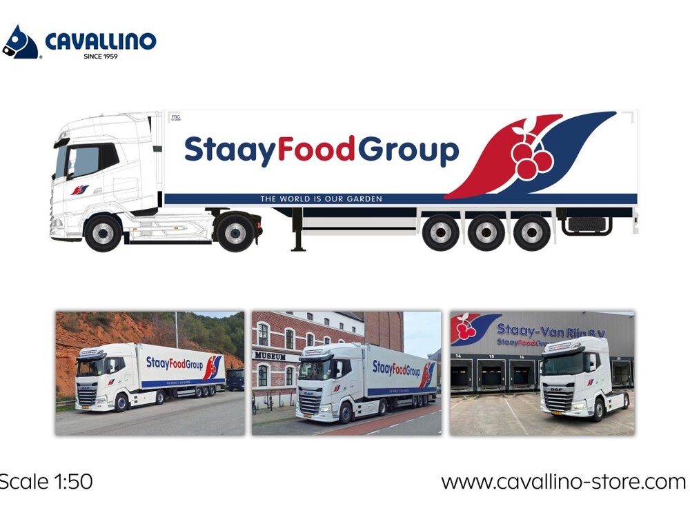 Cavallino Cavallino DAF XG+  with 3-axle reefertrailer C.J. BAKKUM - Copy