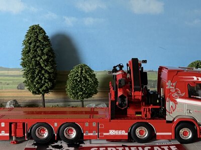 WSI WSI Scania S Normal 8x4 flatbed truck with fassi 1100 + jib THOMAS BERG