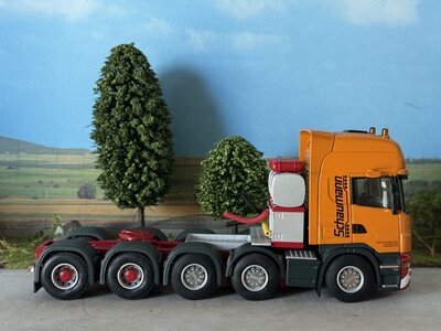 WSI WSI Scania R Topline 10x4 SCHAUMANN