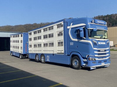 Tekno Tekno Scania Next Gen S-serie Highline livestock combi  BRÜHLMANN