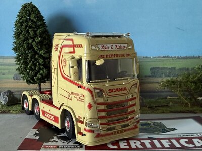 WSI WSI Scania S Highline 6x2 tag axle PETER E. NIELSEN