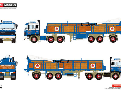 WSI WSI FTF FD Serie 6x4 met 3-as classic stenen oplegger JOS H. BROUWER