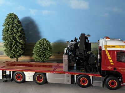 WSI WSI DAF CF Space Cab MY2017 Riged flatbed truck 8x2  with fassi 1100 + jib ALB. SWIJNENBURG
