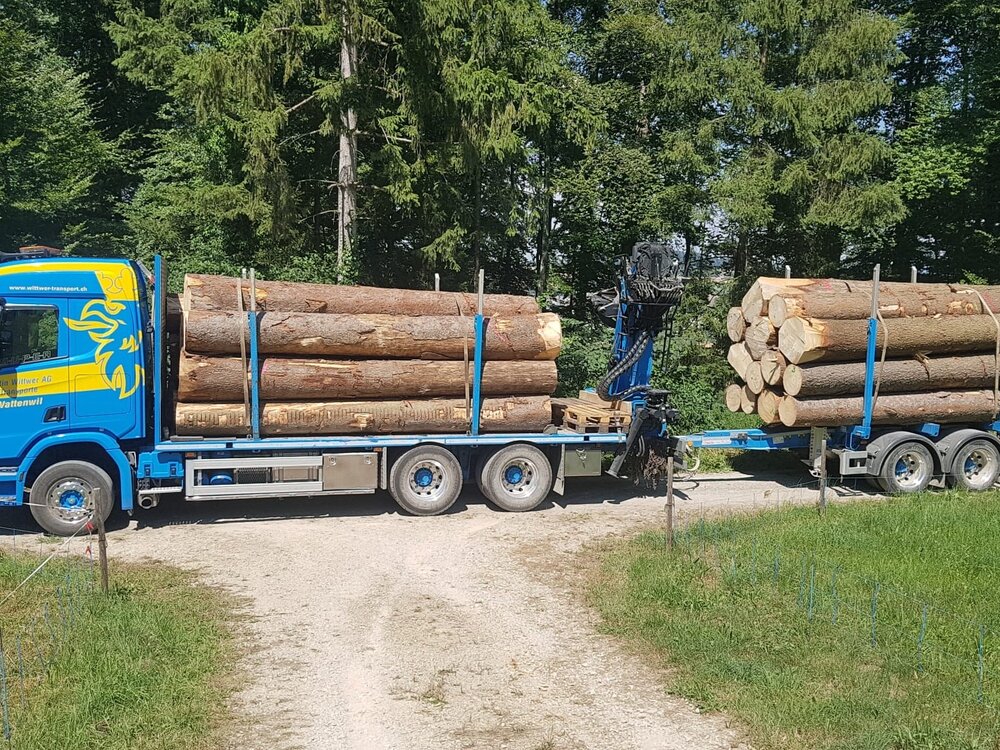 Tekno Tekno Scania R500 rigid truck wood combi MARTIN WITTWER