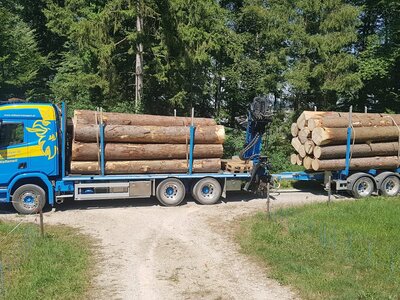 Tekno Tekno Scania R500 rigid truck wood combi MARTIN WITTWER
