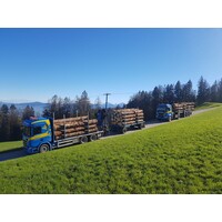 Tekno Scania R500 rigid truck wood combi MARTIN WITTWER