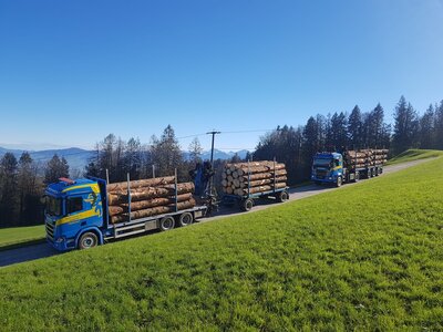 Tekno Tekno Scania R500 rigid truck wood combi MARTIN WITTWER