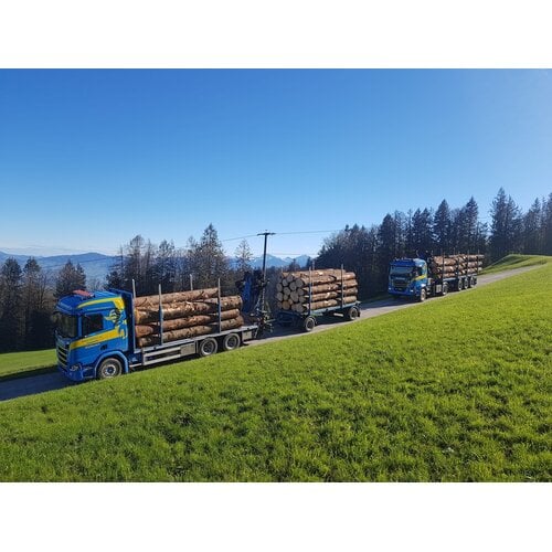 Tekno Tekno Scania R500 rigid truck wood combi MARTIN WITTWER Tekno Tekno Scania R500 rigid truck wood combi MARTIN WITTWER