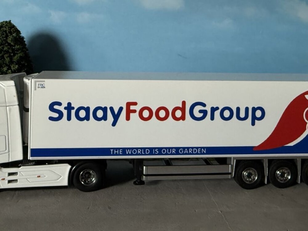 Cavallino Cavallino DAF XG+  with 3-axle reefertrailer STAAY FOOD GROUP