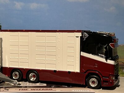WSI  WSI Scania S highline 6x2 tag axle livestock combi EVERS