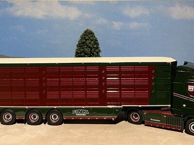 IMC IMC Scania S High roof 4x2 with livestock trailer HACHMEISTER