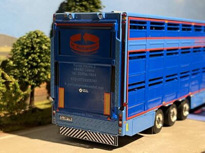 WSI WSI Scania R Topline 4x2 + 3-as veeoplegger H. PEITZMANN