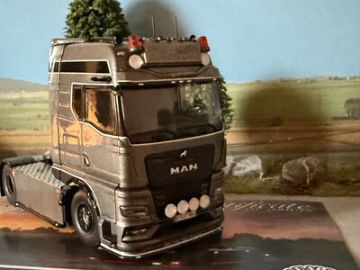 Tekno Tekno MAN TGX GX 4x2 MUIJSWINKEL PHILIPPE