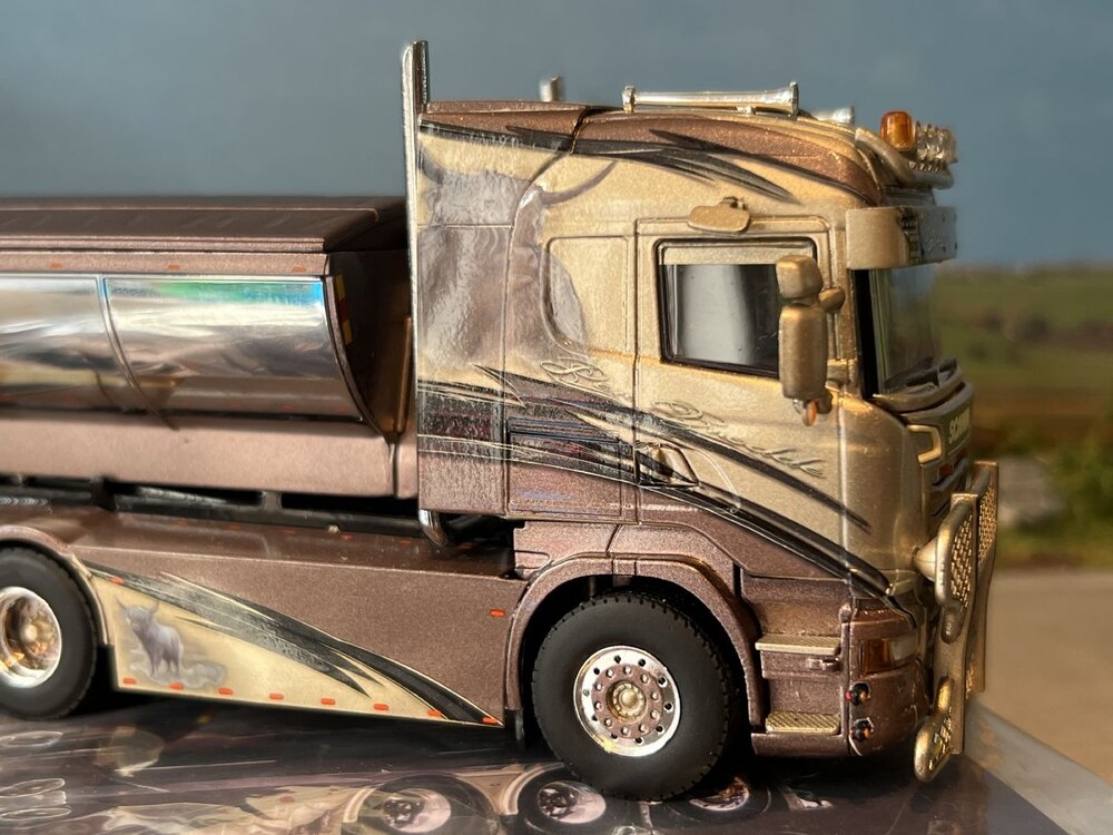 WSI WSI Scania R Highline 8x4 hooklift system + container PER BRODDES