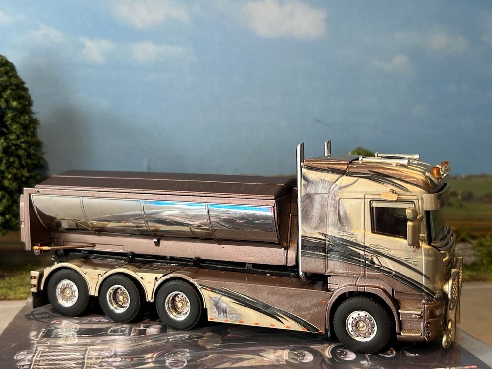 WSI WSI Scania R Highline 8x4 hooklift system + container PER BRODDES