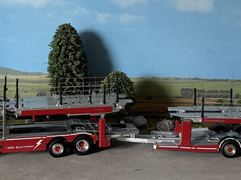 WSI WSI EXCLUSIEF Scania P Low CP20 autotransporter COTRA