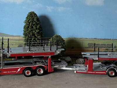 WSI WSI EXCLUSIEF Scania P Low CP20 autotransporter COTRA