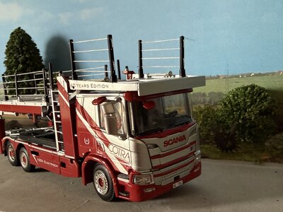 WSI WSI EXCLUSIEF Scania P Low CP20 autotransporter COTRA
