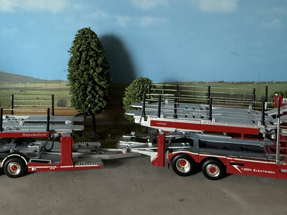WSI WSI EXCLUSIEF Scania P Low CP20 autotransporter COTRA