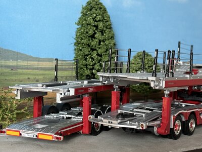 WSI WSI EXCLUSIEF Scania P Low CP20 cartransporter COTRA