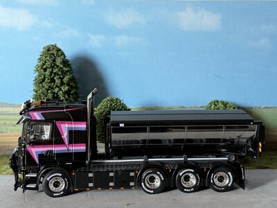 WSI WSI Scania R6 Highline 8x4 haakarm systeem + container HAUGEN