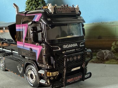 WSI WSI Scania R6 Highline 8x4 haakarm systeem + container HAUGEN