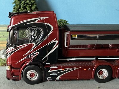 WSI WSI Scania R Highline 8x4 haakarm systeem + container WERMELIN