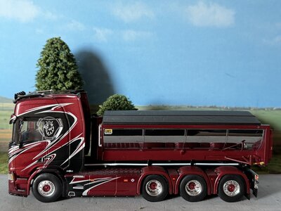 WSI WSI Scania R Highline 8x4 hooklift system + container WERMELIN