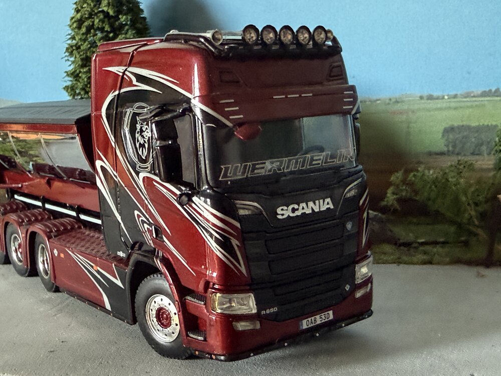 WSI WSI Scania R Highline 8x4 haakarm systeem + container WERMELIN