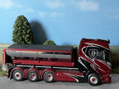 WSI WSI Scania R Highline 8x4 hooklift system + container WERMELIN