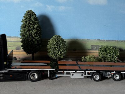 WSI WSI DAF XG+ 4X2 with 3-axle flatbed mega trailer MEGA TRANSPORT