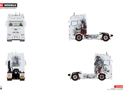 WSI WSI MAN TGX GX 4x2 DECKER TRANSPORTE