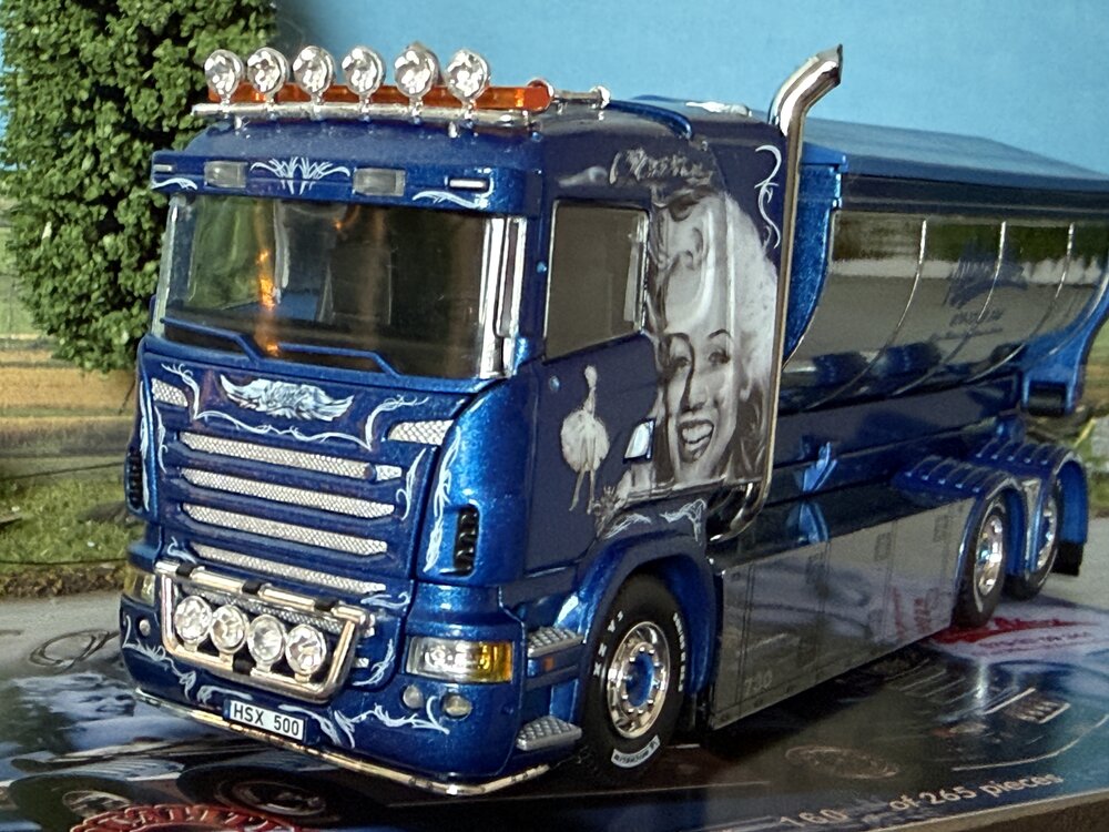 Tekno Tekno Scania R Lowline truck with hooklift + container MICKES AKERI