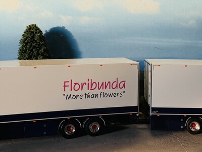WSI WSI Scania S Highline riged reefer truck 6x2 with 2-axle reefer trailer FLORIBUNDA